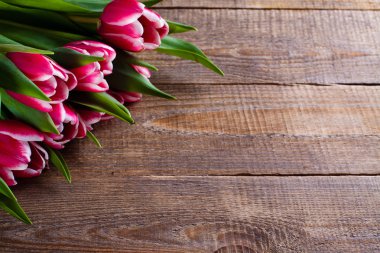 Taze bahar çiçekleri.