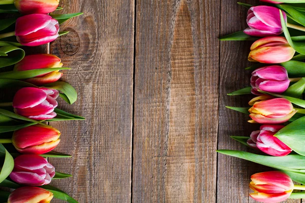 Fresh spring flowers. — Stock Photo, Image