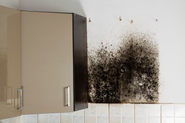 Black mold in house. clipart