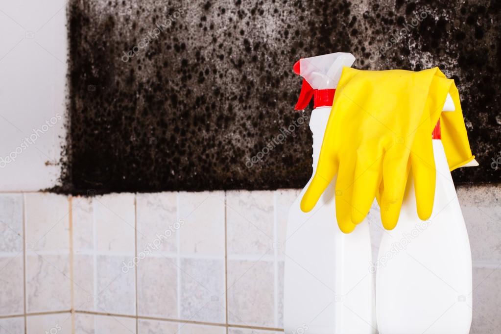 Black mold in house. — Stock Photo © cegli.o2.pl 97068800