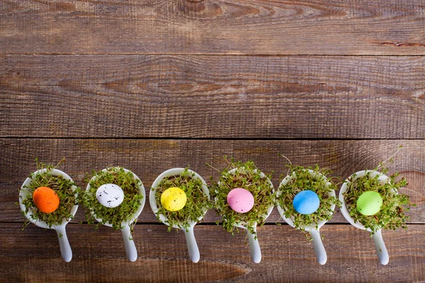 Growing cress in small bowls view from the top. — Stock Photo, Image