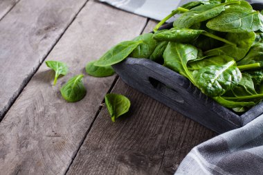 Taze yeşil bebek ıspanak