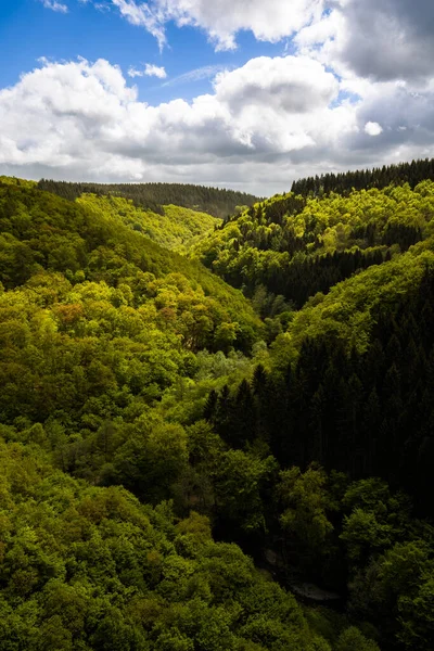 Valle Alto Contrato Bosque Alemania — Foto de Stock