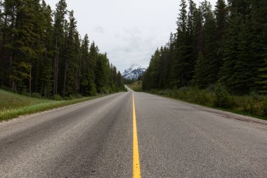 Banff, Alberta, Kanada 'ya giden harika bir yol. Kimse.