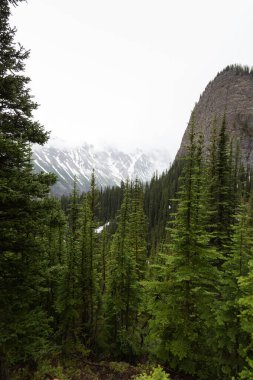 Yağmurlu ve bulutlu bir günde Louise Gölü 'nün yakınındaki dağlar görülür.