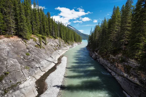 Río Alberta Canadá —  Fotos de Stock