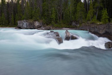 Şelaleler uzun süre açıkta kalacak. Kanada Alberta 'daki Rocky Dağları.