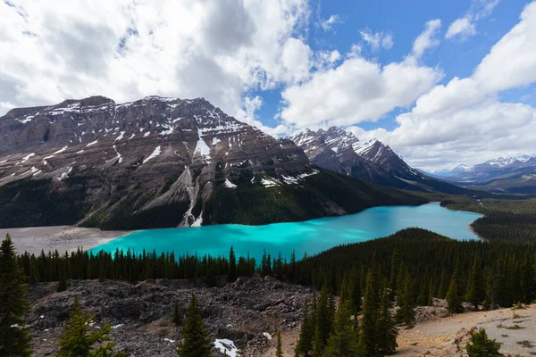 Peyto Lake Alberta Kanada Omgiven Berg Och Glaciärer — Stockfoto