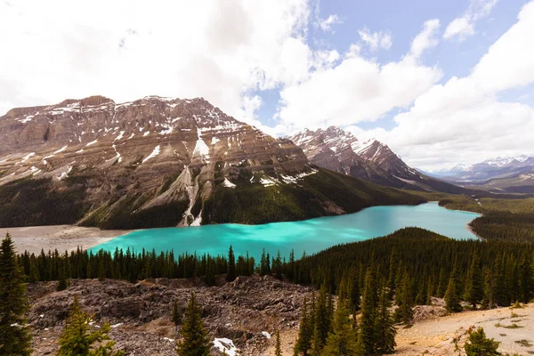 Lago Peyto Alberta Canadá Rodeado Por Montañas Glaciares —  Fotos de Stock