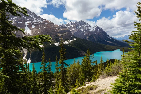 Lago Peyto Alberta Canadá Rodeado Por Montañas Glaciares — Foto de Stock