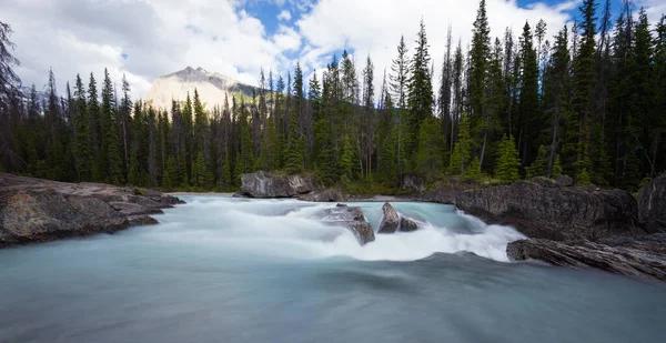 Cascadas Exposición Prolongada Montañas Rocosas Alberta Canadá —  Fotos de Stock