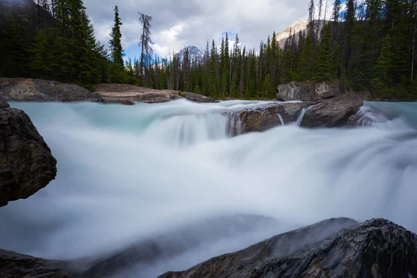 Cascadas Exposición Prolongada Montañas Rocosas Alberta Canadá —  Fotos de Stock