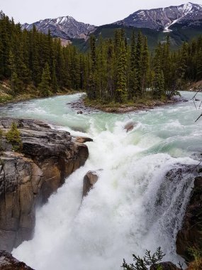 Sunwapta Kanada, Alberta 'ya düşer. Kimse.