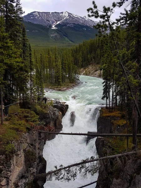 Sunwapta Fällt Alberta Kanada Niemand — Stockfoto