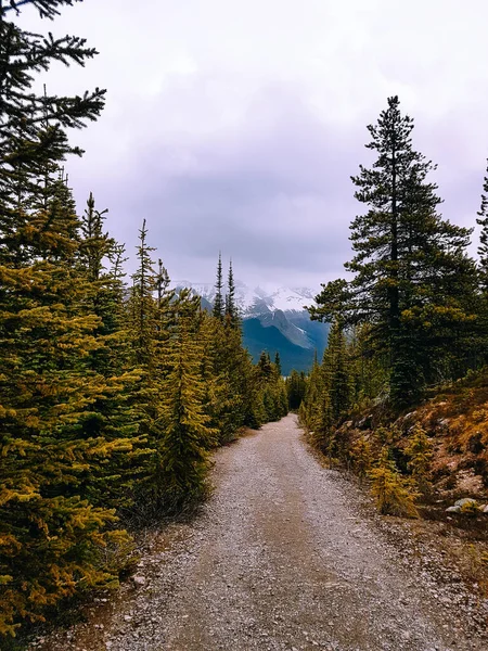 Vandringsled Klippiga Berg Alberta Kanada Ingen — Stockfoto