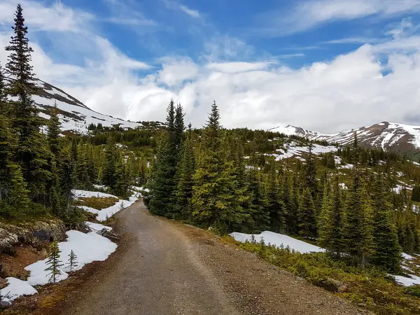 Vandringsled Klippiga Berg Alberta Kanada Ingen — Stockfoto