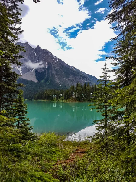 Vue Sur Lac Émeraude Travers Les Pins Personne — Photo