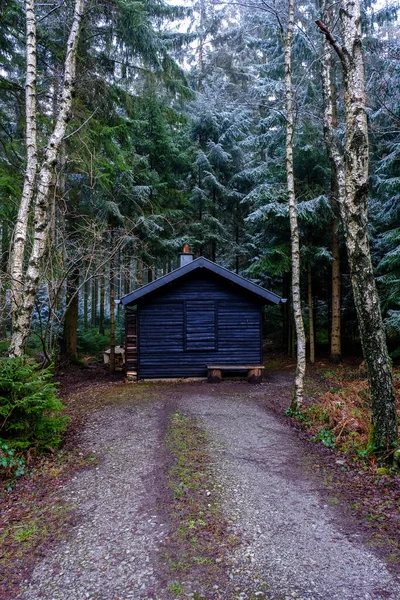 冬に松の木の森の小さなキャビン — ストック写真
