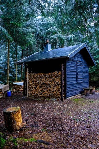 Petite Cabane Dans Forêt Pins Hiver Personne — Photo