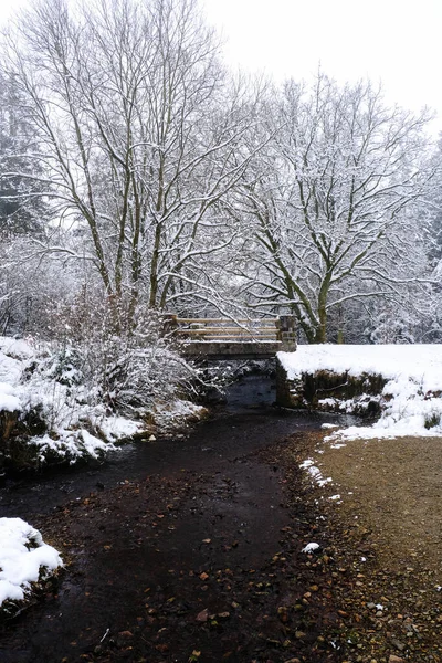 Pequeño Puente Bosque Con Nieve Nadie —  Fotos de Stock