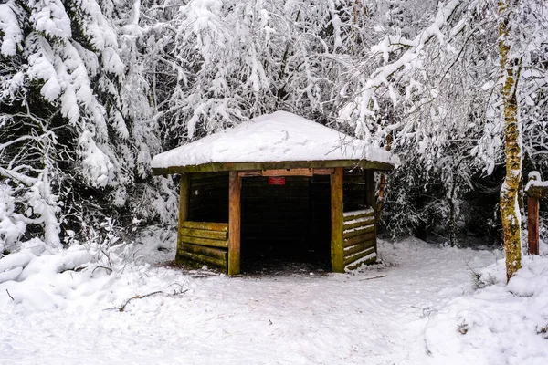 Kleine Wandelschuilplaats Het Bos Met Sneeuw Niemand — Stockfoto