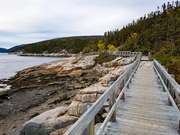 Ścieżka Brzegu Rzeki Tadoussac Kanada Nikt — Zdjęcie stockowe