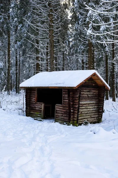 雪の森の小さな木製の避難所 — ストック写真