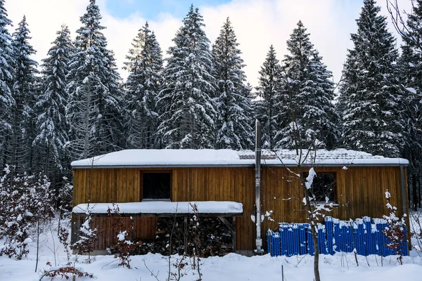 Chalet Het Bos Bedekt Met Sneeuw — Stockfoto