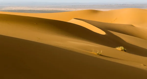 Písečné duny v erg Merzouga, Maroko — Stock fotografie