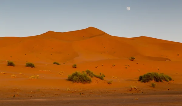 Zonsondergang op de woestijn met de maan aan de hemel. — Stockfoto