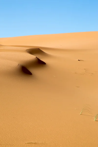 Písečné duny a formování stínové — Stock fotografie