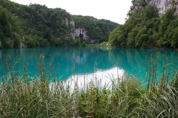 Lago en Plitvice parc, Croacia — Foto de Stock
