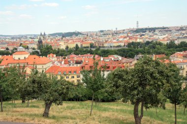 Çek, kırmızı çatılar içinde Prag Cityscape