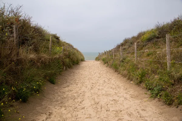 Walking path through sand dunes and vegetation — Stock Photo, Image