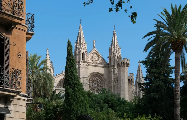 Palma de mallorca-katedralen — Stockfoto