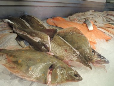 Bir balık dükkanda taze balık