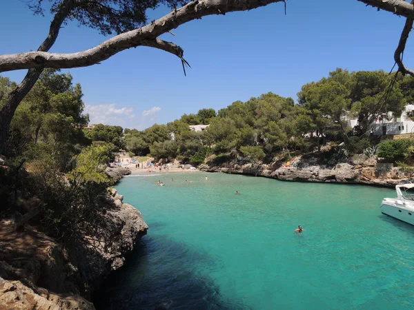 Καταδύσεις στο νερό φούξ άτομα — Φωτογραφία Αρχείου