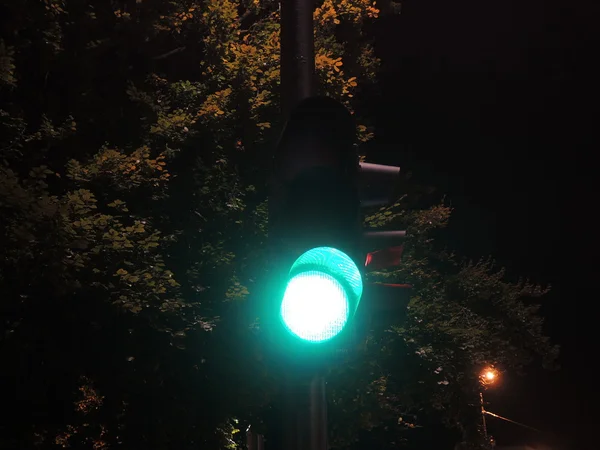 Lumina de trafic pe timp de noapte arată verde — Fotografie, imagine de stoc