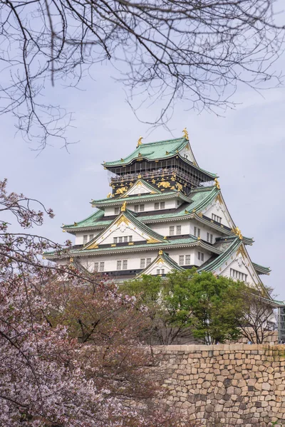 Castelo de Osaka com flor de cereja . — Fotografia de Stock