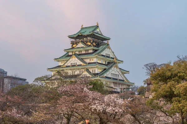 Castello di Osaka con fiori di ciliegio . — Foto Stock