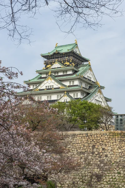Castello di Osaka con fiori di ciliegio . — Foto Stock