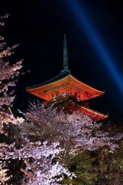 Kiyomizu dera Tapınağı, baharda yanar