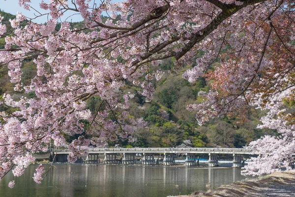 Arashiyama bahar — Stok fotoğraf