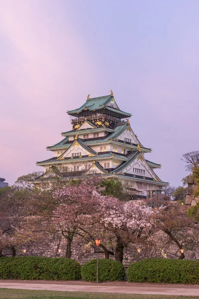 Castillo de Osaka con flor de cerezo . — Foto de Stock