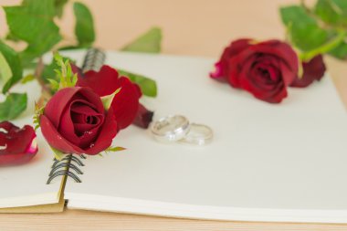 Kırmızı gül ve yüzük, romantik backgroud