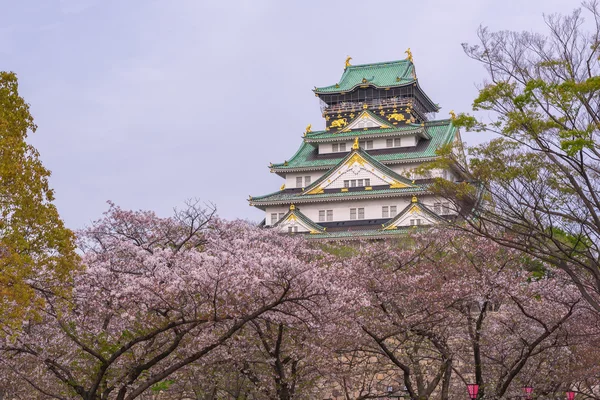 Castelo de Osaka com flor de cereja . — Fotografia de Stock