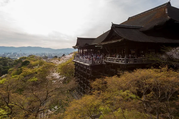 Muchas personas en Kiyomizu dera templo en primavera — Foto de Stock