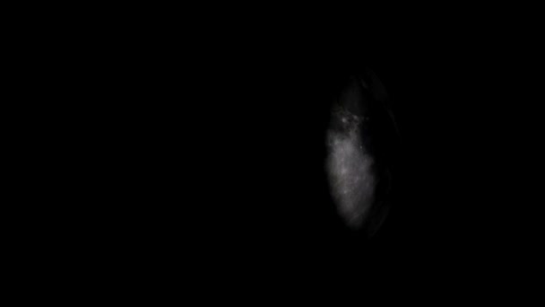 Φάσεις της Σελήνης, με στερεά μαύρη σκιά στο συμπαγές μαύρο φόντο. — Αρχείο Βίντεο