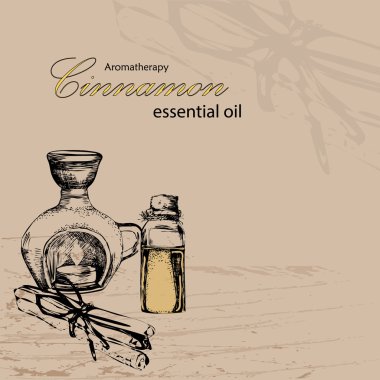 esans tarçın vektör çizim