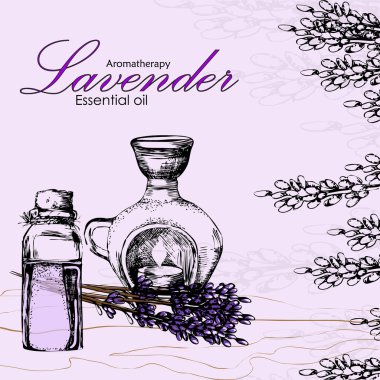 Lavanta esansiyel yağı vektör çizim